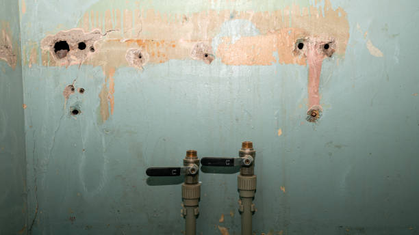 Best Professional water damage repair  in Abingdon, IL
